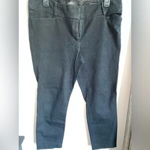 Ann Taylor Loft Pants